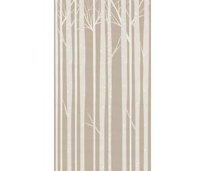 Livingwalls WTD 382951 Papier peint intissé Motif forêt de bouleau Gris 1,59 x 2,80 m