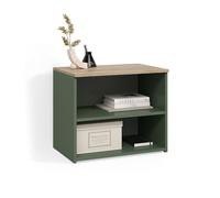 Livinity Meuble TV Piave, Vert, 60x50cm
