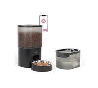 Distributeur de croquettes automatique 5w noir + fontaine à eau Livoo PET107 G