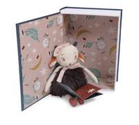 Livre Bonne nuit Après la pluie Moulin Roty