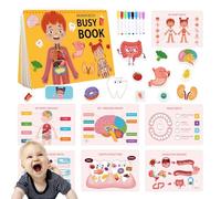 Livre d'anatomie du corps humain pour , le livre du corps humain occupé le petit enfant - Activités d'apprentissage préscolaire de la maternelle | Livre d'anatomie pour avec dife