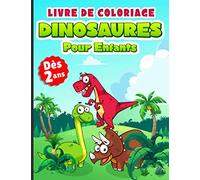 Livre de coloriage dinosaures pour Enfants dès 2 ans: Dessins de dinosaures à colorier pour garçons et filles dès 2 ans |idée Cadeaux pour les tout-petits enfants (cahier de coloriage pour enfants)