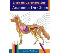 Livre de Coloriage Sur l'Anatomie Du Chien: Un Cahier d'Exercices d'Anatomie Canine Incroyablement Détaillé et Coloré| Le Cadeau Idéal Pour les ... les Amateurs de Chiens et les Adultes