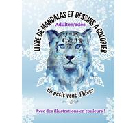 LIVRE DE MANDALAS ET DESSINS A COLORIER: UN PETIT VENT D'HIVER