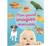 Livre d'éveil Mon grand Imagier 300 mots illustrés 22 thèmes dès 1 an