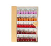 Livre magnétique des échantillons à ongles, 2025 NOUVEAU 120/180/240 Nail Color Display Book, Magnet Blank Nail Organizer Storage, Nail Art Salon Design Booklet pour manucure ,240pcs,Apricot