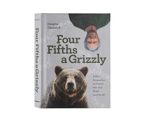 Livre Patagonia Four Fifths a Grizzly Gris TU