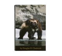 Patagonia – The Wolverine Way – Noir – TU