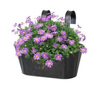 LIVRES D'ARBRES DE VOYAGE - Support de jardinière sur rail de pont en métal | Supports de pots suspendus extérieurs, conteneurs de panier de balcon de jardin pour appartement terrasse cour arrière