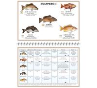 Livret d'identification des poissons du golfe du Mexique/Golfe d'Amérique - Plus de 150 images de poissons d'eau salée ; règles et règlements