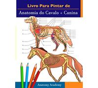 Livro para pintar de Anatomia do Cavalo + Canina: Compilação 2 em 1 | Livreto a cores de auto-avaliação muito detalhado para estudar Anatomia Equina e ... Estudantes Veterinários e Amantes de Animais