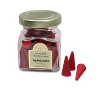 LivuX 1081 Lot de 35 cônes d'encens parfumés à la pomme et à la cannelle Parfum chaud et festif pour une atmosphère détendue et confortable