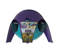 Lixit Igloos et cachettes pour cochons d'Inde, Rats, Souris, Hamsters, gerbilles et Autres Petits Animaux (Assortiment de Grande capacité)