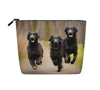 LIXLZH Trotting Trousse de maquillage portable à revêtement plat avec motif empreintes de pattes de retrievers - Pochette de voyage à fermeture éclair - Noir - Taille unique, Noir/blanc, One Size