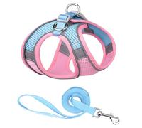 LIXSAZSE Animaux de compagnie sangle de poitrine laisse ensemble réfléchissant rembourré mignon confort soutien randonnée gilet course harnais licou accessoires, Rose bleu