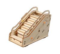 LIXSAZSE Cadeaux de Jouets Pratiques en Sciences physiques éducatives pour Les Enfants âgés de 7 à 14 Ans, engagent Les Jeunes Esprits avec Un Apprentissage Pratique modèles en Bois, Jouets