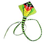 LIXSAZSE Cerf-Volant en Forme de Serpent pour l'extérieur, Longue Queue, Jouets en Ligne avec poignée, Jouet en Tissu pour Enfants, Sport, pour Bonne pelouse, 30M