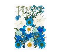 LIXSAZSE Collection d'autocollants de plantes sèches décalcomanie de fleurs véritables matériaux d'artisanat étiquette spécimen pressé signets décorations, Type6