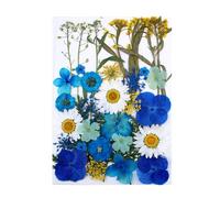 LIXSAZSE Collection d'autocollants de plantes sèches décalcomanie de fleurs véritables matériaux d'artisanat étiquette spécimen pressé signets décorations, Type4