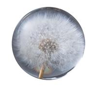 LIXSAZSE Décoration élégante Boule de rêve de pissenlits, résine exquise, Boule Pissenlit en Cristal, Figurine Cristal Pissenlit, Type1 7 cm