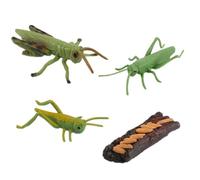 LIXSAZSE Ensemble de Jeu de Croissance d'insectes, Cycle Croissance des Animaux, Outils pédagogiques, Jouets éducatifs engageants en Classe pour Enfants, Apprentissage