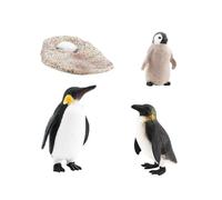 LIXSAZSE Figurines du Cycle de Vie, Jouet éducatif, Outils pédagogiques, Cycle de Croissance Unique, encourageant Les compétences d'observation des Enfants, développement éducatif précoce, Jouet