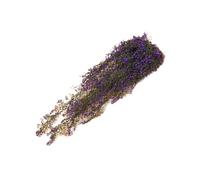 LIXSAZSE Fond de mur artificiel suspendu fleurs plante faux rotin fête d'anniversaire décoration pendaison de crémaillère cadeaux en plein air, court violet, 85CM
