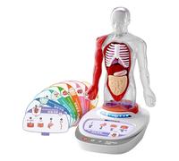 LIXSAZSE Modèle interactif 3D du Corps Humain : Un Outil pédagogique Stimulant pour l’Apprentissage. Ce modèle d’Organes est fabriqué en ABS et constitue Une ressource éducative pour Les Enfants.