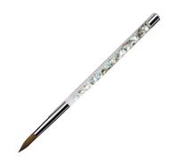 LIXSAZSE Ongles Acrylique Art Brosses Extension Sable Gel Builder Sequin Manucure Dessin Salon Fournitures Poudre Sculpture Peinture, quatorze