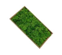 LIXSAZSE Préservé Fleur Artificielle Mousse Portable Décoratif Solide Couleur Vive Maison Jardin Pelouse Lichen Photographie Prop Ornement