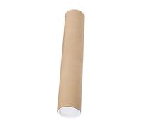 LIXSAZSE Solution de Tube d'expédition compacte pour Le Stockage de Plans, d'œuvres d'art et de Documents. Tube d'emballage Robuste pour Rouleaux d'affiches Format et Plans, 27.5 Pouces