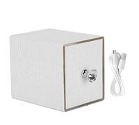 LIYJTK Boîte de rangement pour forets pour Nail Art, boîte UV, anti-poussière, lumière bleue, boîte de rangement de manucure, Portable et pratique, alimenté par USB, acrylique, cuir PU (Blanche)