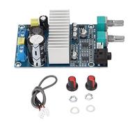 LIYJTK Carte amplificateur numérique 100W, haute PERFORMANCE, sortie de basses, MODULE d'ampli pour caisson de basses, haut-parleur à monter soi-même, 12V-24V