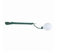LIYJTK Golf Swing Training Rope Ball Outdoors Club Golf Club Practice Accessoires Idéal pour Le protage de Jardin
