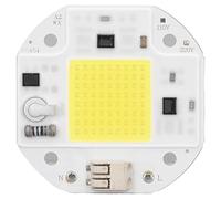 LIYJTK Perle de lampe COB puce LED haute puissance haute luminosité, lecteur gratu (50W Blanc Froid 6000K-6500K)