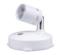 LIYJTK Projecteur LED effet décoratif décor de pièce Goblincore avec télécommande 4 luminosité réglable rotatif vitrine de bijoux lumière (1 pièce)