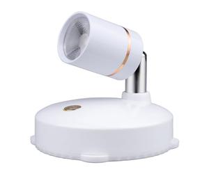 LIYJTK Projecteur LED effet décoratif décor de pièce Goblincore avec télécommande 4 luminosité réglable rotatif vitrine de bijoux lumière (1 pièce)