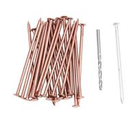 liyoe Clous en Cuivre pour Tuer les, Pointes de Retrait des Souches, Clous Matériels pour, 25 Pièces