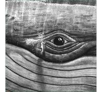 Lizabett Russo - While I Sit And Watch This Tre [VINYL]