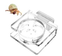 Lizard Gecko Frog Gecko Bol d'alimentation magnétique en acrylique pour animaux de compagnie Transparent