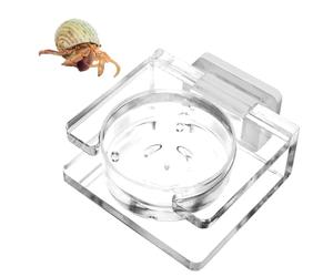 Lizard Gecko Frog Gecko Bol d'alimentation magnétique en acrylique pour animaux de compagnie Transparent