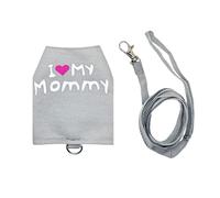 Lizard Leashes Laisse en toile lumineuse respirante réglable pour animaux de compagnie - Tenue de dragon barbu pour promener en plein air nuit voyage quotidien voiture avion sortie shopping taxi