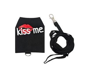 Lizard Leashes - Laisse en toile respirante et lumineuse pour petits animaux domestiques, harnais et laisses de lézard | Pour promenade, extérieur, nuit, voyage, quotidien, voiture, avion, shopping