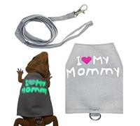 Lizard Leashes Laisse réglable en toile respirante et lumineuse pour animaux domestiques - Harnais et laisses de lézard pour la promenade en plein air, la nuit, les voyages, la voiture, l'avion, le