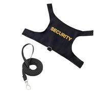 Lizard Leassh - Harnais de 1,5 m de dragon barbu | Laisse de gecko léopard | Harnais d'extérieur pour promener en plein air Dragon barbu Harnais de traction pour lézard reptiles amphibiens petits