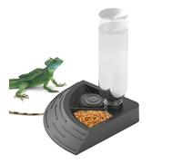 Lizard Water Fountain - 2-in-1 with Ramp Non-Slip Automatic Dispenser