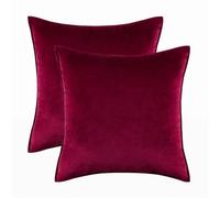 LIZHAYG Housse Coussin Ensemble de 2 Housses de Coussin décoratives en Velours uni, for canapé, Chambre ou Voiture.(Bind WineRed,45x45cm Only Cover)
