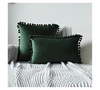 LIZHAYG Housse Coussin Lot de 2 Housses de Coussin décoratives en Velours Doux, Unies, for Grand canapé, avec Pompons.(Color 30,45x45cm with Filling)
