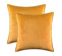 LIZHAYG Housse Coussin Lot de 2 Housses de Coussin décoratives en Velours for canapé et Chambre à Coucher, 30x50cm/45x45cm/50x50cm/60x60cm, Style Moderne(Bind Gold,30x50cm 2pcs Cover)
