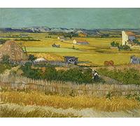 liziciti Kit de peinture diamant 5D pour adultes, chefs-d'œuvre de Van Gogh, strass à broder au point de croix, 30 x 40 cm (Big Crop)